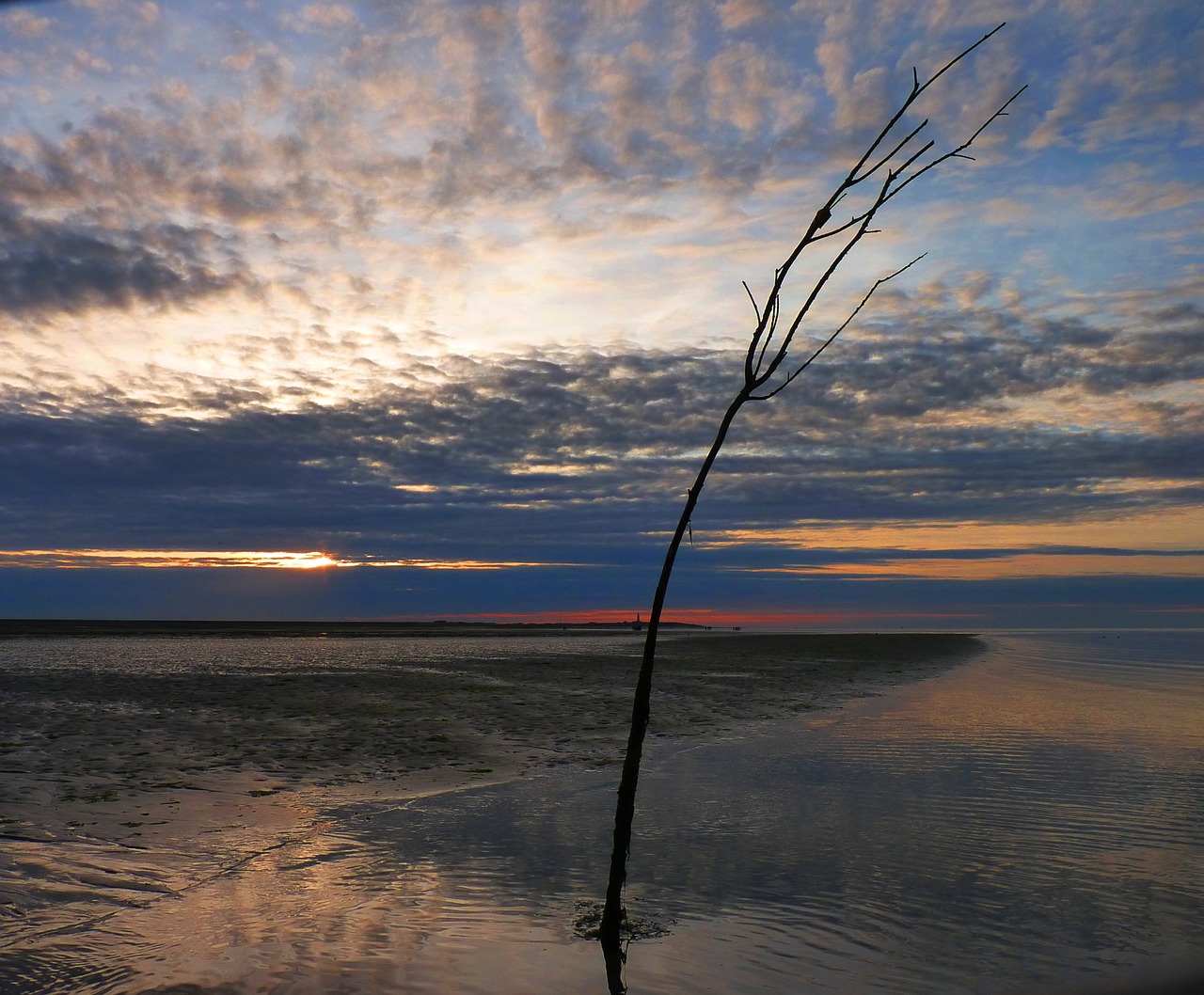 Vanduo, Saulėlydis, Šerti, Jūra, Gamta, Saulė, Kraštovaizdis, Besileidžianti Saulė, Wadden Jūra, Debesys