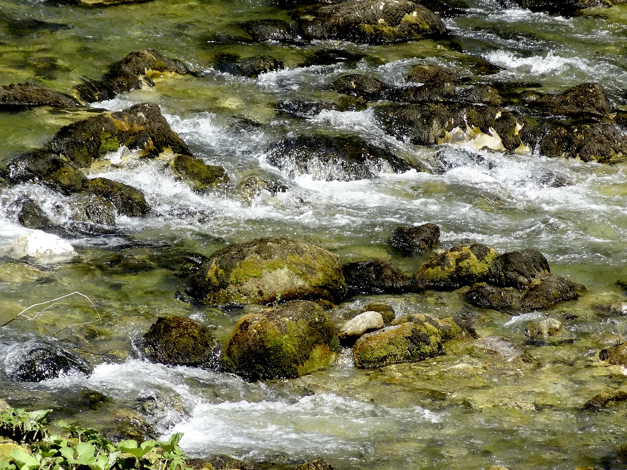 Vanduo, Srautas, Upė, Gamta, Srautas, Žalias, Rokas, Laukiniai, Parkas, Kraštovaizdis