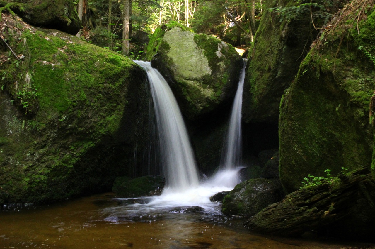 Vanduo, Bachas, Upė, Samanos, Rokas, Krioklys, Gamta, Srautas, Gorge, Murmur