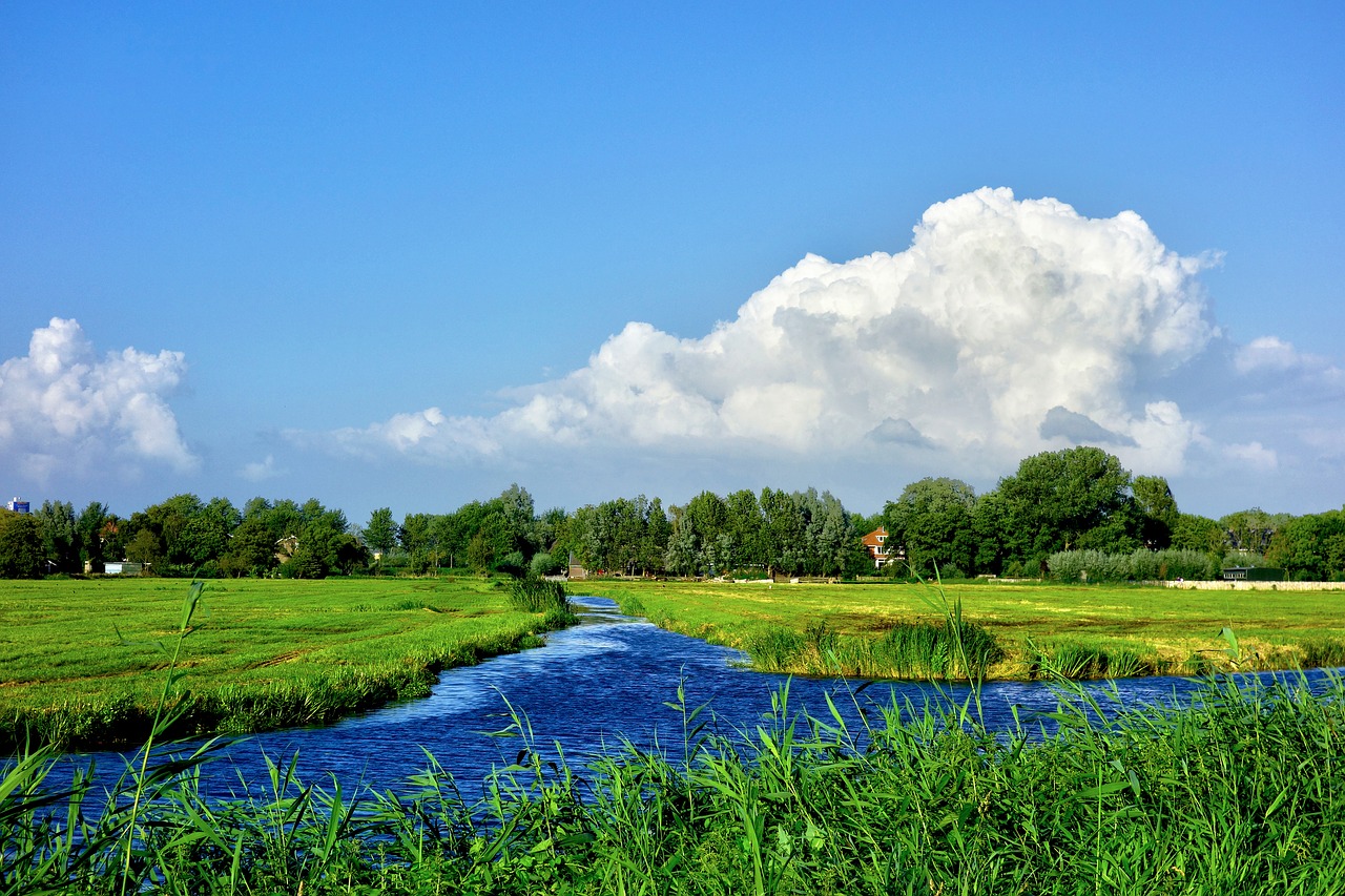 Vanduo, Vandens Kelias, Pieva, Laukas, Polderis, Panorama, Medžiai, Žolė, Debesys, Mėlynas Dangus