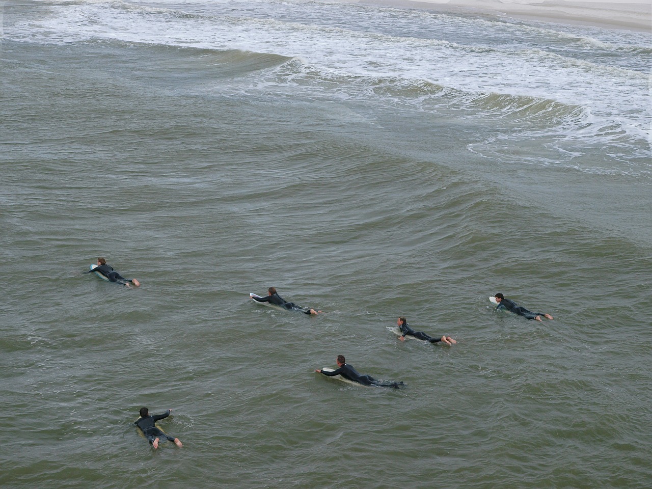 Vandens,  Jūra,  Pobūdį,  Vandenynas,  Paukštis,  Bangų,  Lauke,  Surf,  Pajūrio,  Papludimys