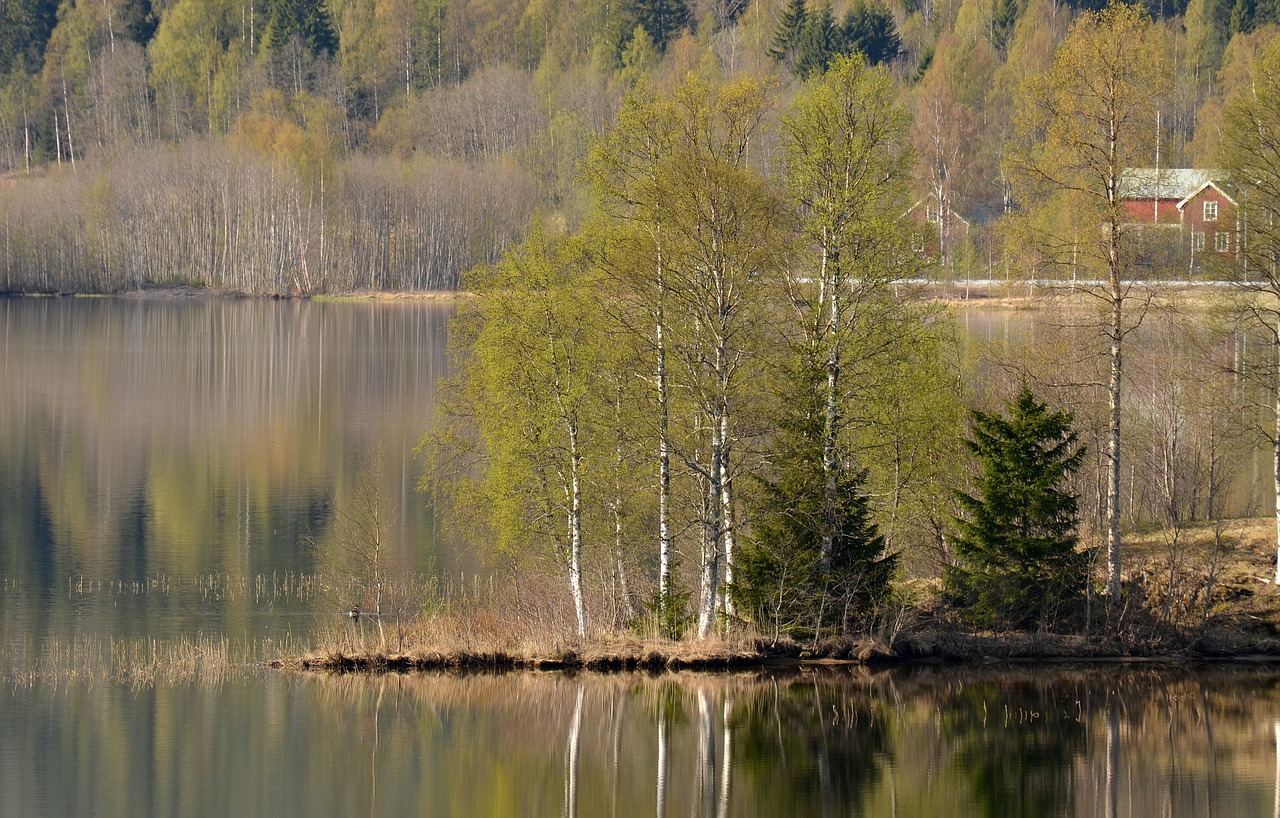 Vanduo, Žalias, Medis, Nemokamos Nuotraukos,  Nemokama Licenzija