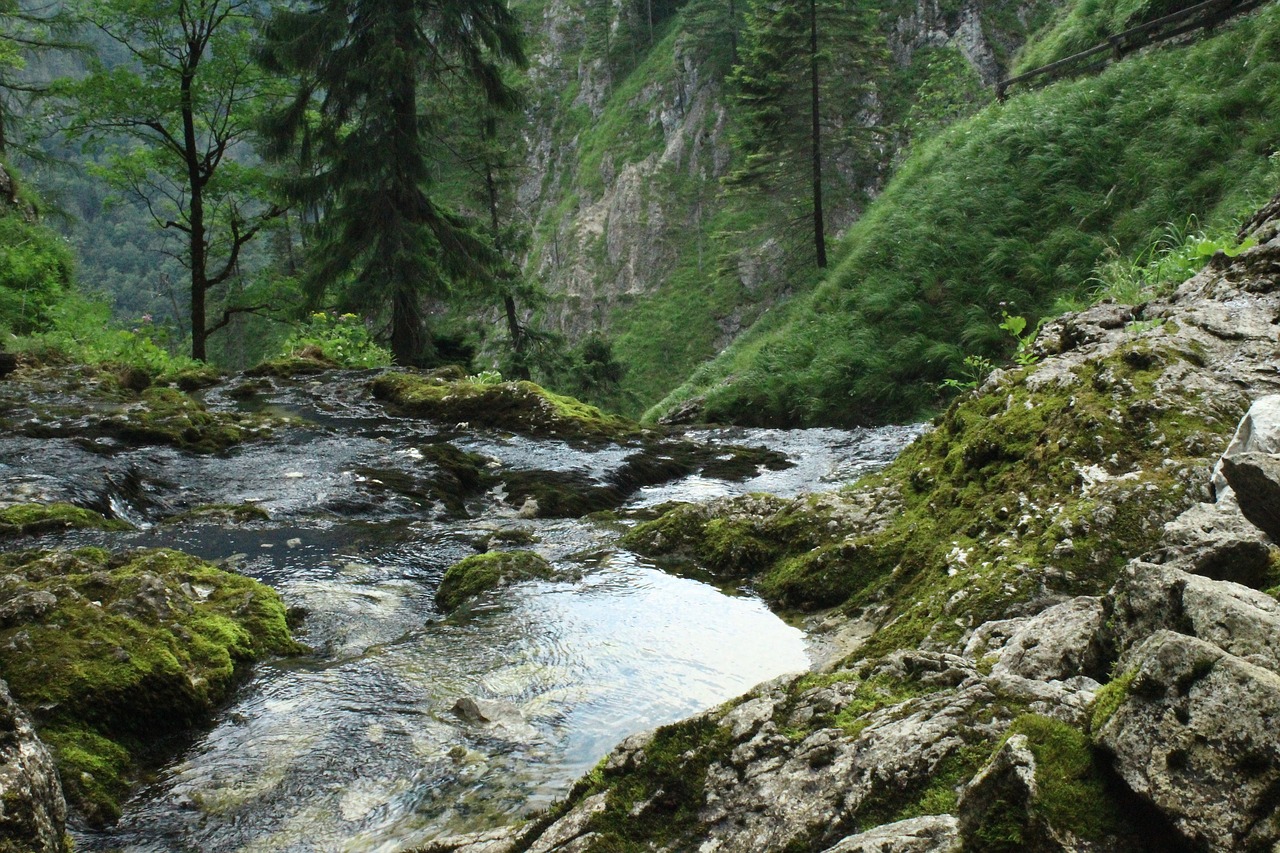 Vandens,  Kalnai,  Kraštovaizdis,  Pobūdį,  Ežeras,  Vaizdingas,  Gražus,  Medžiai,  Miškas, Nemokamos Nuotraukos