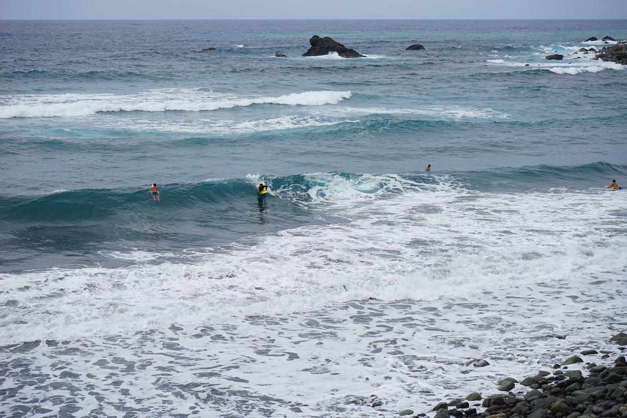 Vanduo, Banga, Jūra, Surfer, Linksma Maudytis, Papludimys, Lava, Smėlis, Tenerifė, Lavos Smėlis