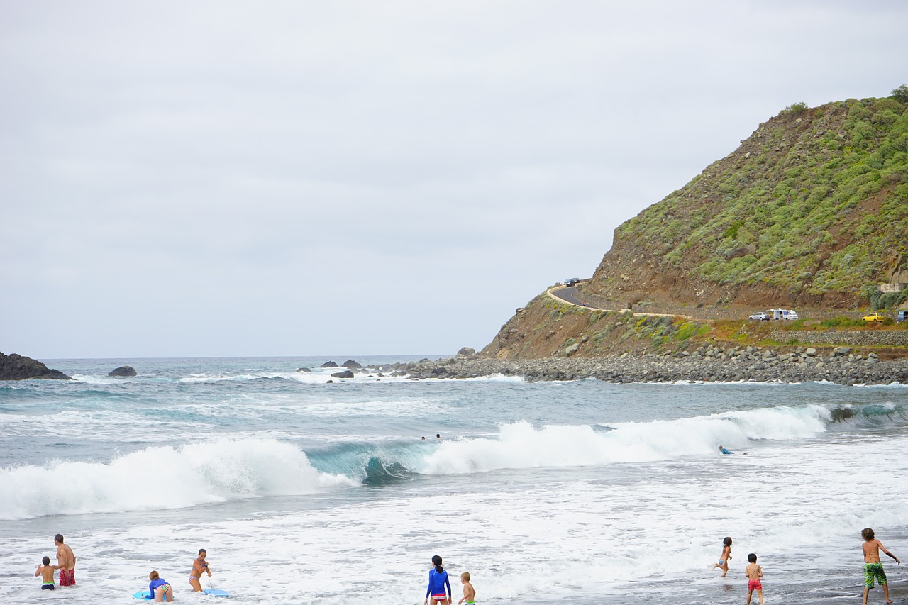 Vanduo, Banga, Tenerifė, Kanaran, Jūra, Surfer, Linksma Maudytis, Papludimys, Lava, Smėlis