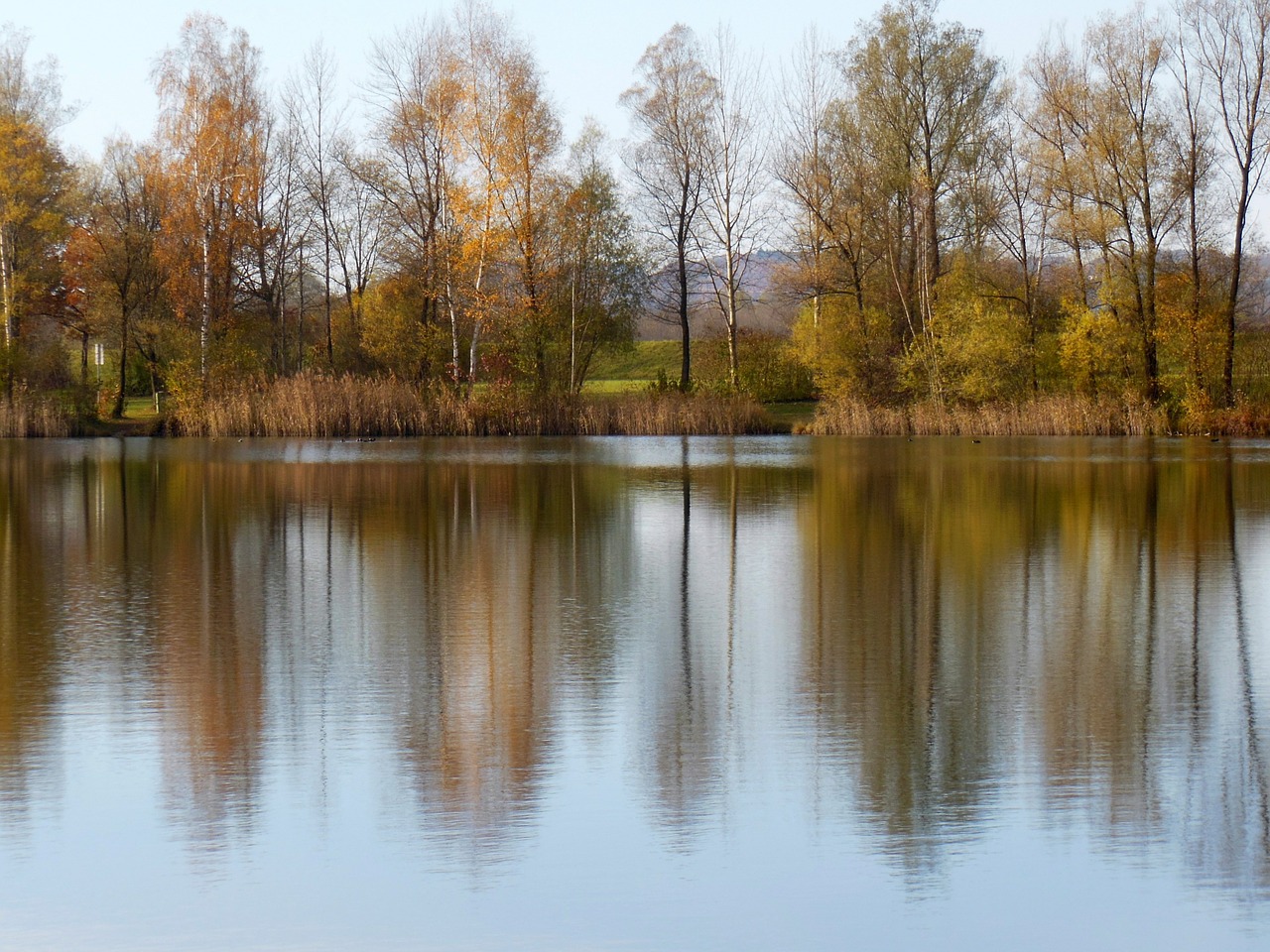 Vanduo, Ežeras, Perach, Badesee, Peracher Maudytis Ežeras, Altötting, Rudens Nuotaika, Veidrodis, Gamta, Kraštovaizdis