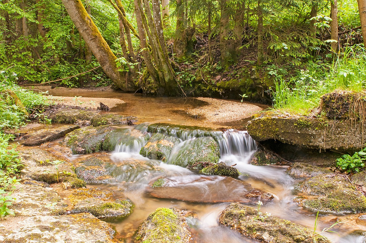 Vanduo, Po, Gamta, Gorge, Vandenys, Miškas, Vanduo Veikia, Murmur, Kraštovaizdis, Srautas