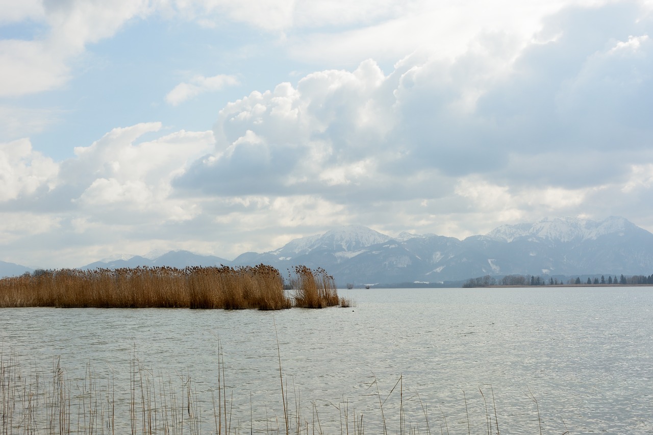 Vanduo, Ežeras, Debesys, Nendrė, Chiemsee, Kalnai, Gamta, Kraštovaizdis, Žiema, Nemokamos Nuotraukos