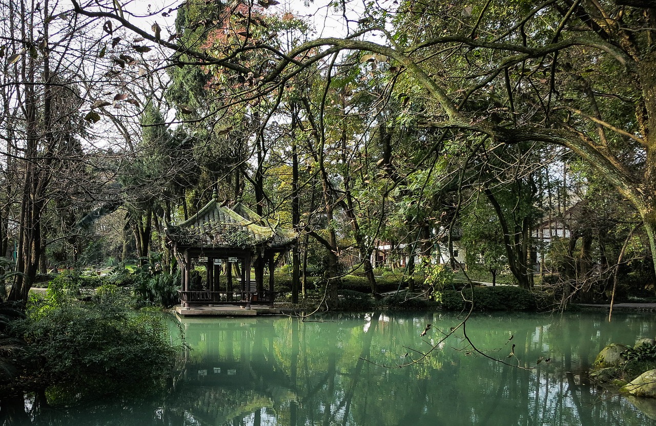Vanduo, Medžiai, Filialai, Žalias, Gamta, Jade Paviljonas, Dujiangyan, Sichuanas, Kinija, Nemokamos Nuotraukos