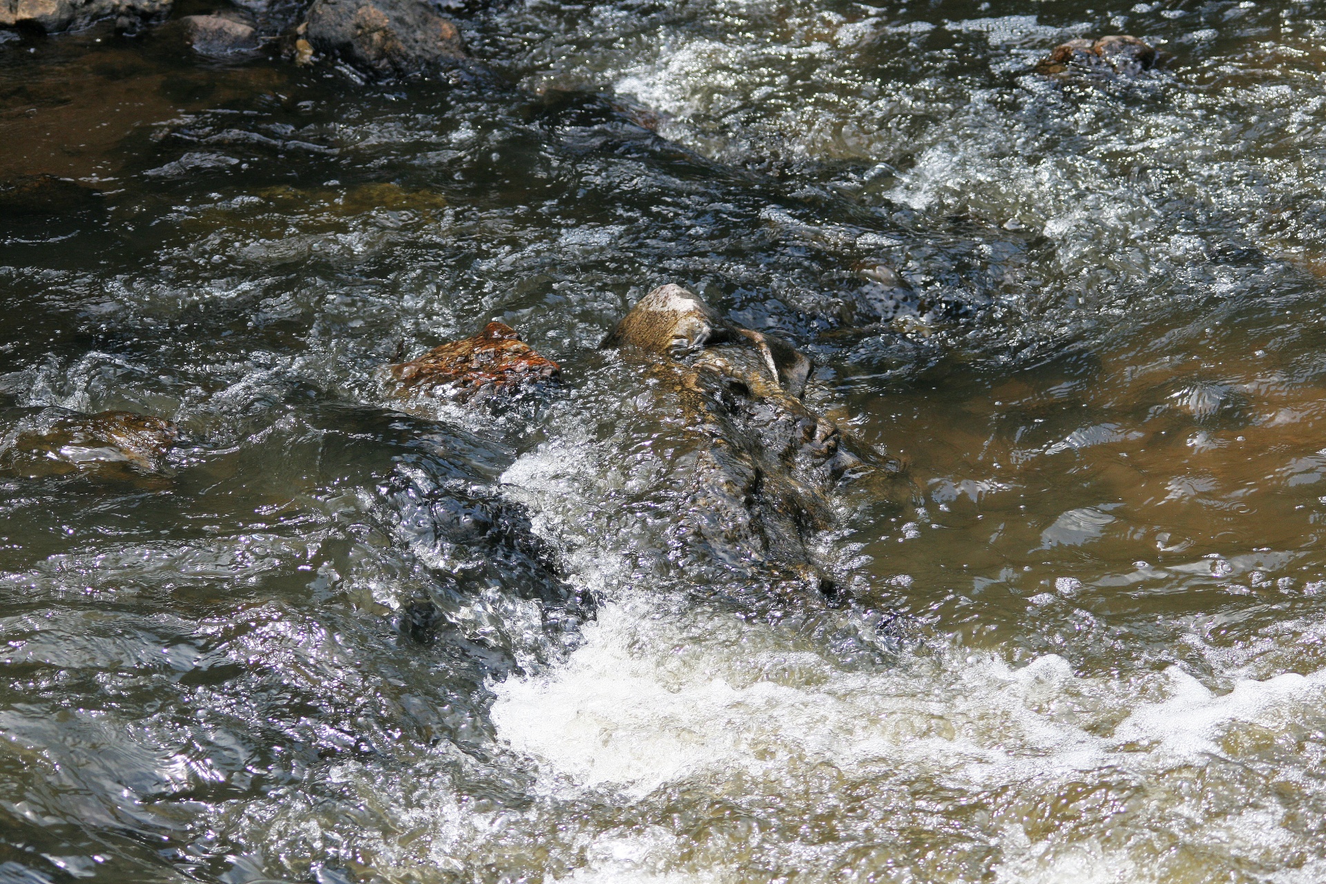 Время вода река. Река вода движущая вода. Ручей вода струя. Обновление воды в реках. Вода в реке движется.