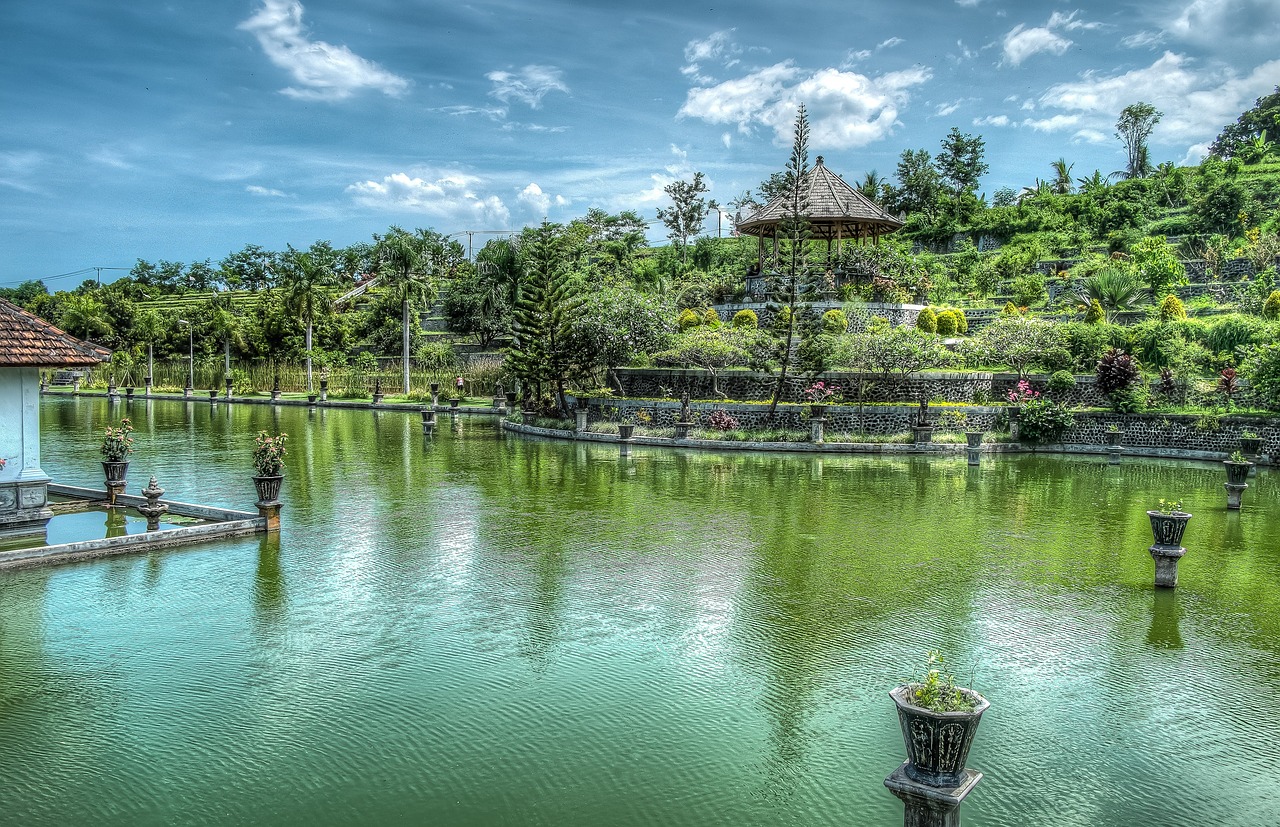 Vandens Sodai, Bali, Karalių Vandens Sodas, Indonezija, Egzotiškas, Kelionė, Turizmas, Asija, Sodas, Vanduo