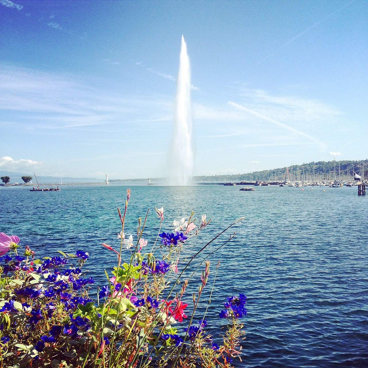 Vandens Srovė, Geneva, Šveicarija, Ežero Geneva, Vanduo, Gėlė, Nemokamos Nuotraukos,  Nemokama Licenzija