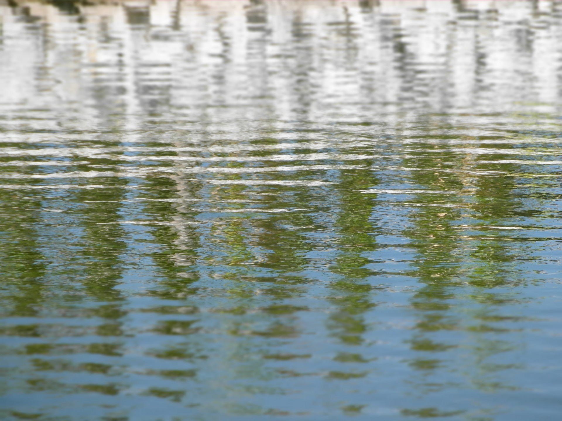 Vanduo,  Ripples,  Rippled,  Modelis,  Tekstūra,  Fonas,  Paprastas,  Ramus,  Ripple,  Saulės Šviesa