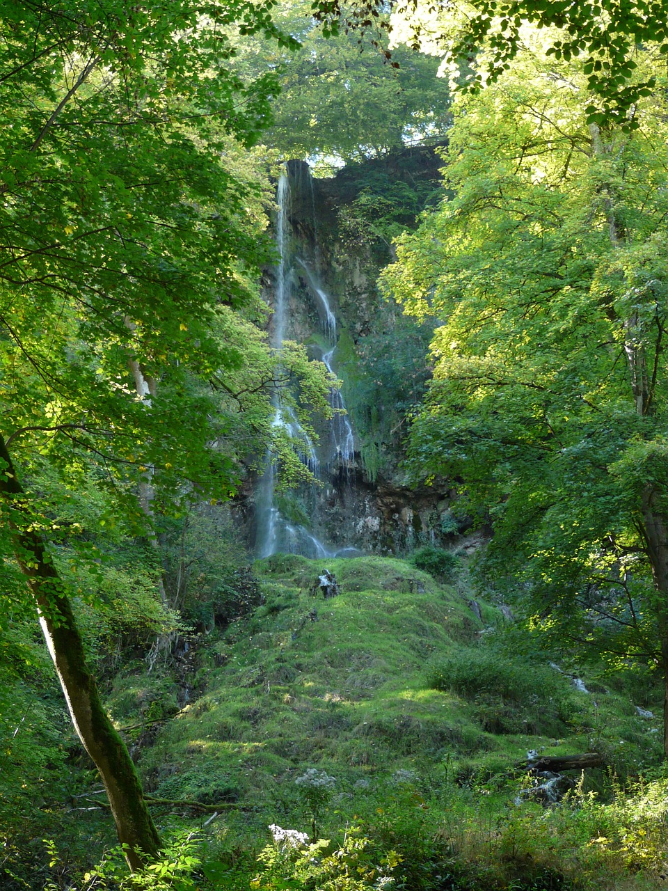 Krioklys, Vanduo, Uracho Krioklys, Miškas, Žalias, Medžiai, Idilija, Swabian Alb, Alb, Albų Karnizai