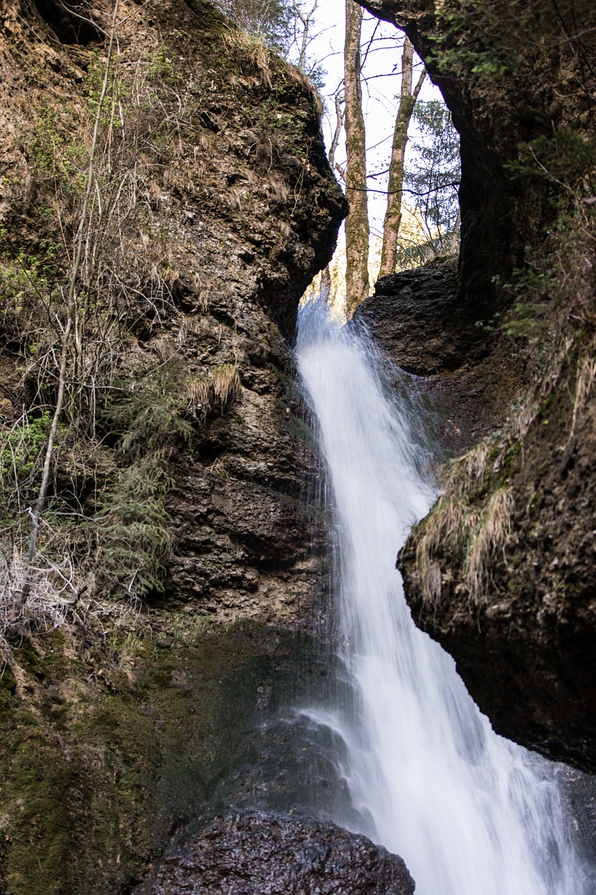 Krioklys, Iš Išorės Pykčio Kriokliai, Miškas, Bachas, Medžiai, Gamta, Vanduo, Sonthofen, Allgäu, Kraštovaizdis