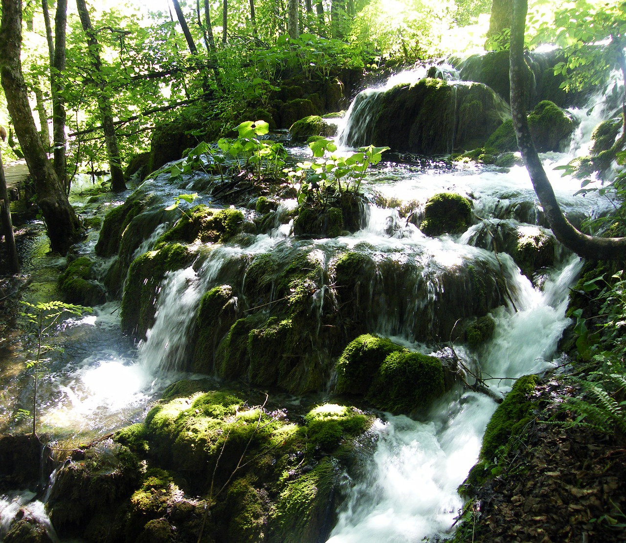 Krioklys, Kroatija, Plittvice, Ežerai, Magija, Nemokamos Nuotraukos,  Nemokama Licenzija