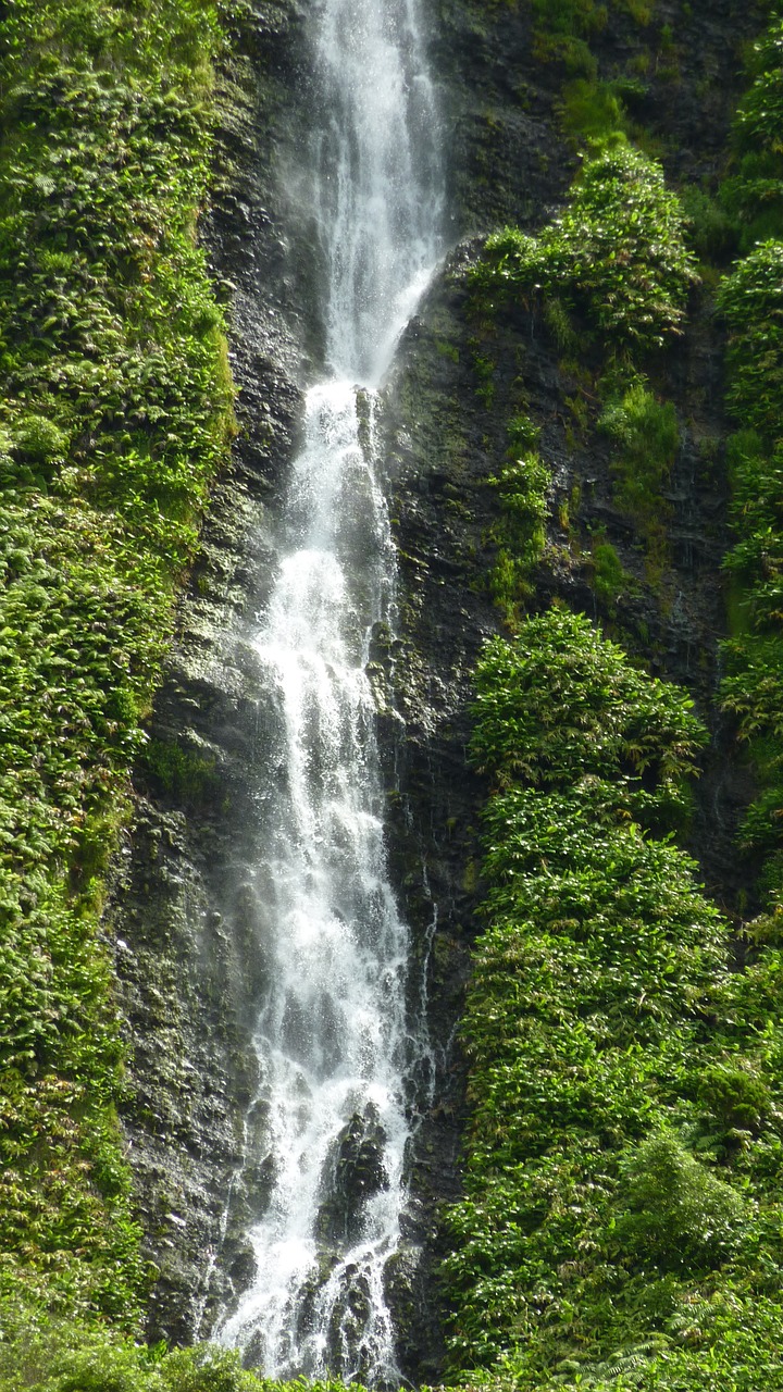 Krioklys, Kalnas, Kraštovaizdis, Miškas, Srautas, Kalnai, Azores, Portugal, Sala, Nemokamos Nuotraukos