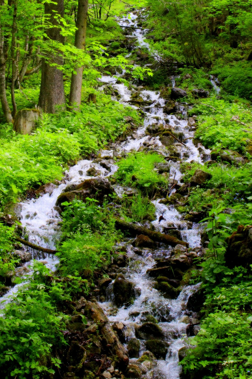 Krioklys, Vanduo, Aišku, Srautas, Akmenys, Vandenys, Kriokliai, Gamta, Atsipalaidavimas, Kalnai