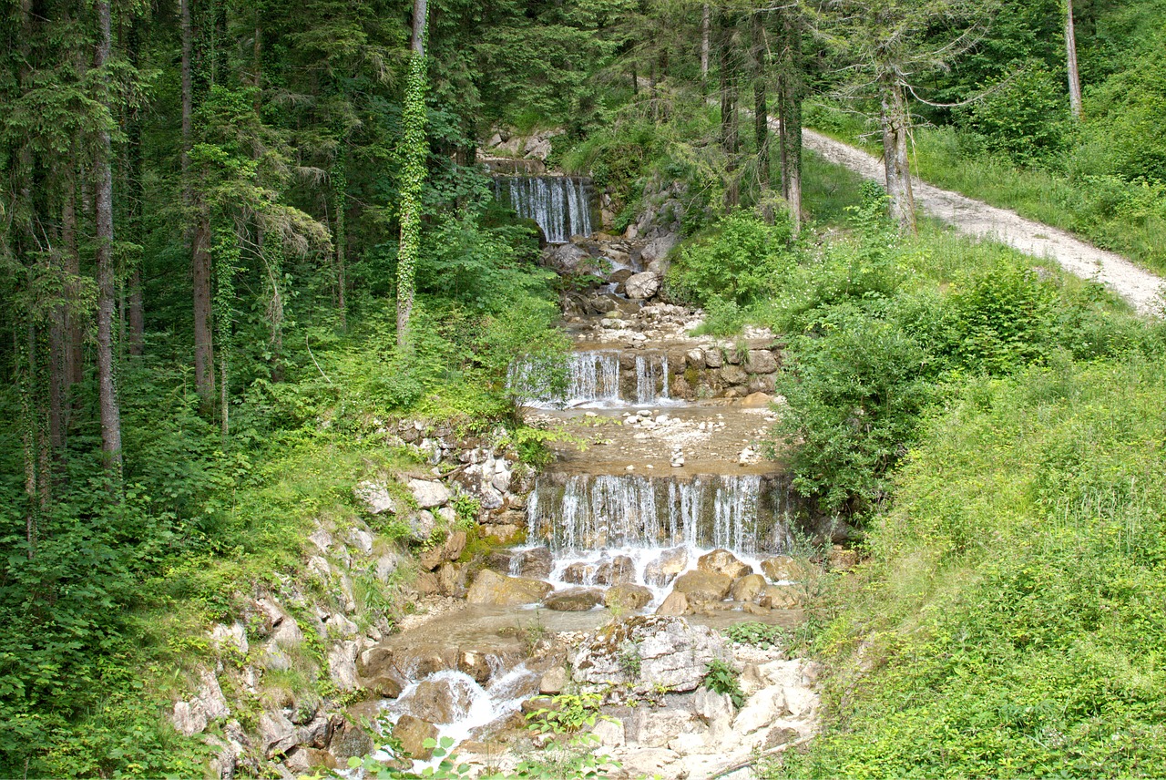 Krioklys, Kaskados, Gamta, Vanduo, Bachas, Upelis, Vanduo Veikia, Purslų, Vandenys, Miškas