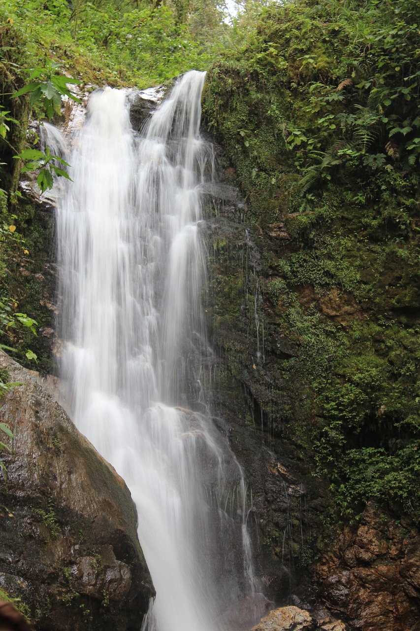 Krioklys, Kosta Rika, Šventė, Atogrąžų Miškai, Centrinė Amerika, Džiunglės, Atogrąžų, Gamta, Nacionalinis Parkas, Tropikai