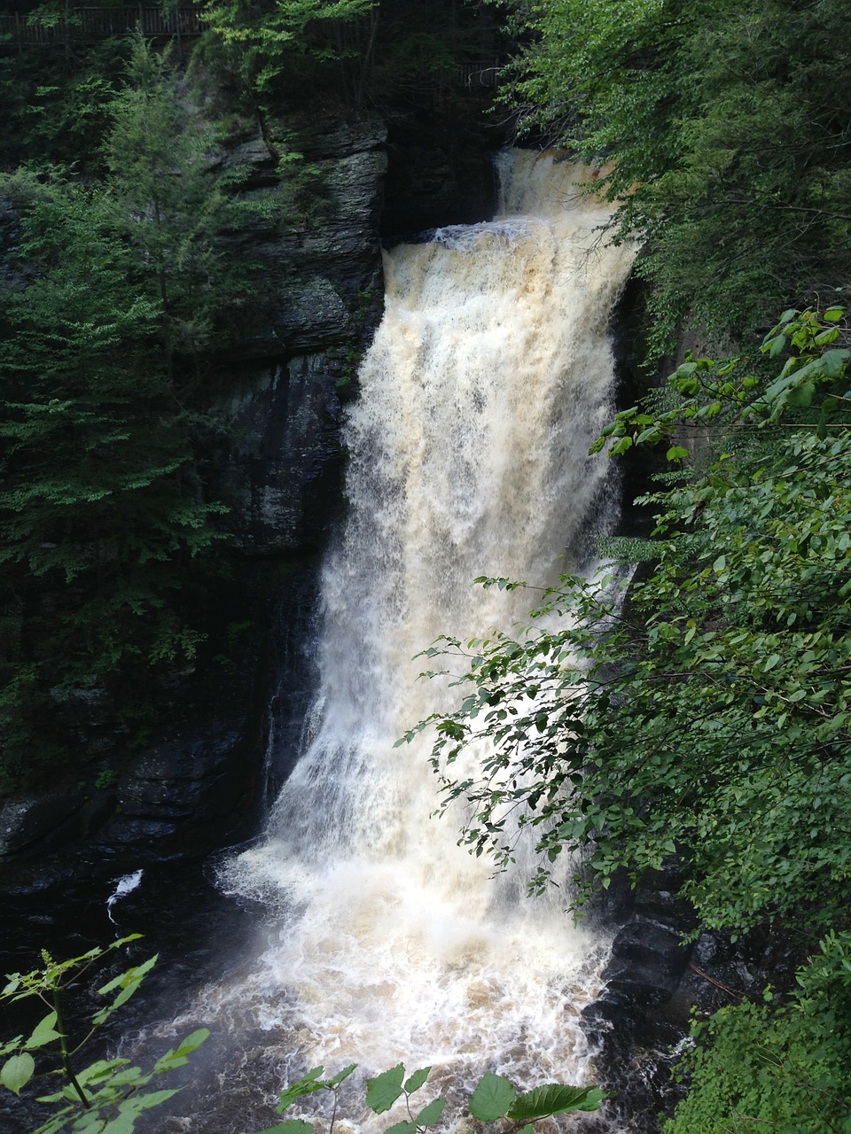 Krioklys, Bushkillfalls, Pennsylvania, Vanduo, Ežeras, Tvenkinys, Gamta, Vasara, Lauke, Atspindys