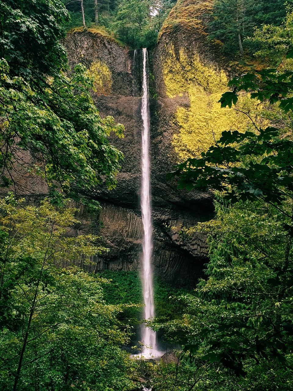 Krioklys, Portlandas, Gamta, Kraštovaizdis, Gorge, Kelionė, Oregonas, Vanduo, Samanos, Natūralus