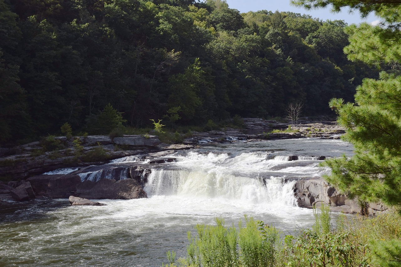 Krioklys, Kraštovaizdis, Srautas, Vanduo, Akmenys, Dykuma, Kaskados, Ohiopyle Patenka, Yougioogheny Upė, Pennsylvania