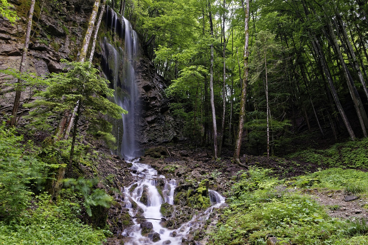 Krioklys, Gamta, Miškas, Nemokamos Nuotraukos,  Nemokama Licenzija