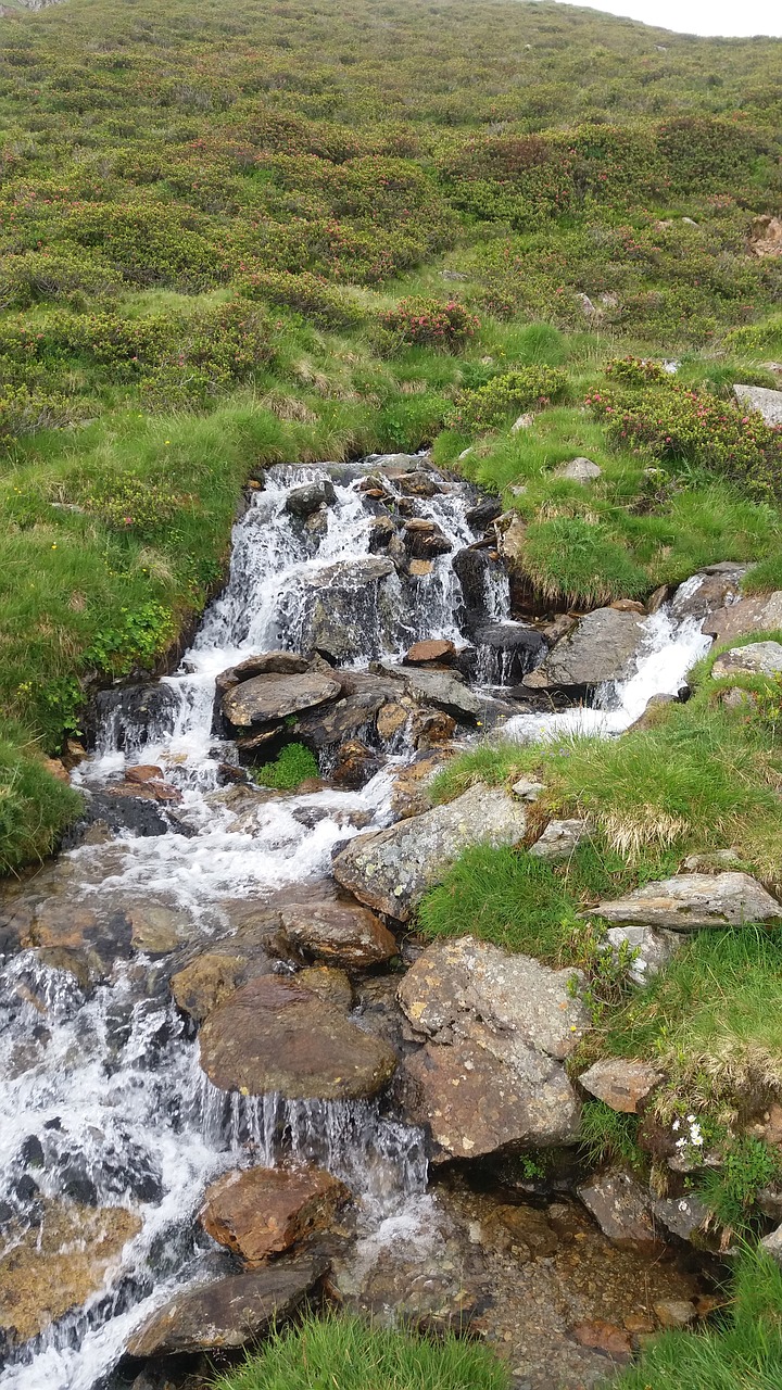 Krioklys, Šventė, South Tyrol, Kalnai, Nemokamos Nuotraukos,  Nemokama Licenzija