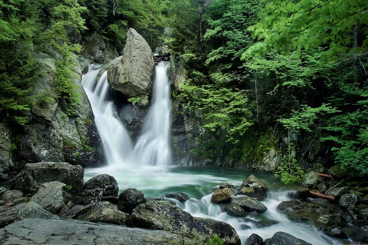 Krioklys, Vanduo, Srautas, Gamta, Upė, Kaskados, Bish Bash Falls, Judėjimas, Srautas, Miškai