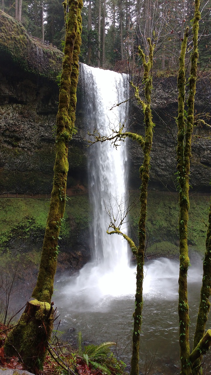 Krioklys,  Oregonas, Nemokamos Nuotraukos,  Nemokama Licenzija