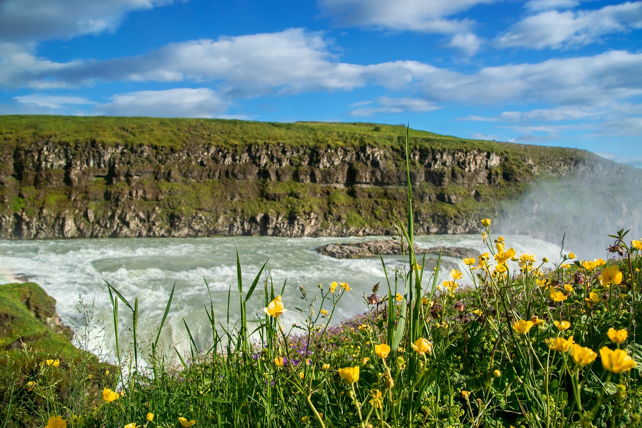 Krioklys,  Vandens,  Gėlės,  Pobūdį,  Kraštovaizdis,  Upė,  Upelis,  Falls,  Bach,  Islandija
