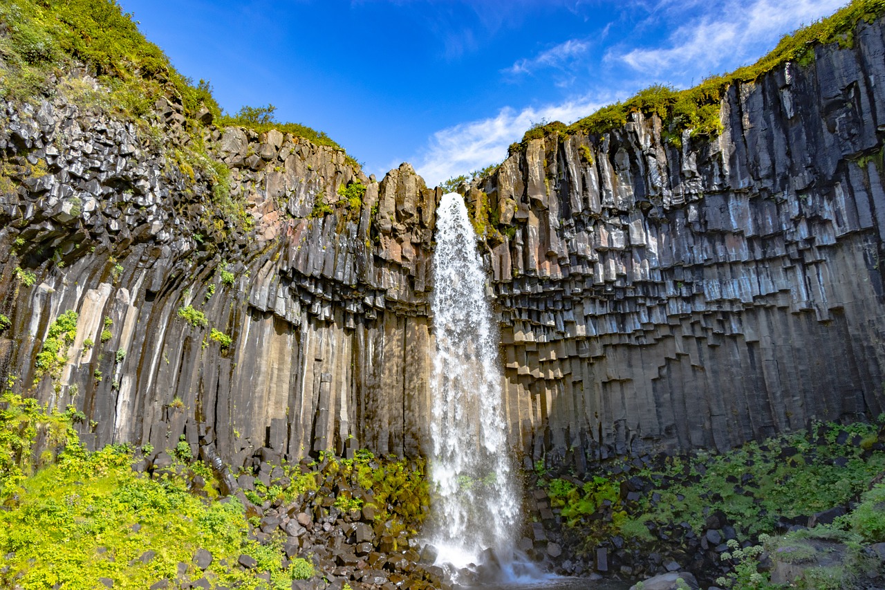 Krioklys,  Islandija,  Kraštovaizdis,  Vandens,  Pobūdį,  Upė,  Etapas,  Ir,  Gražus,  Medis