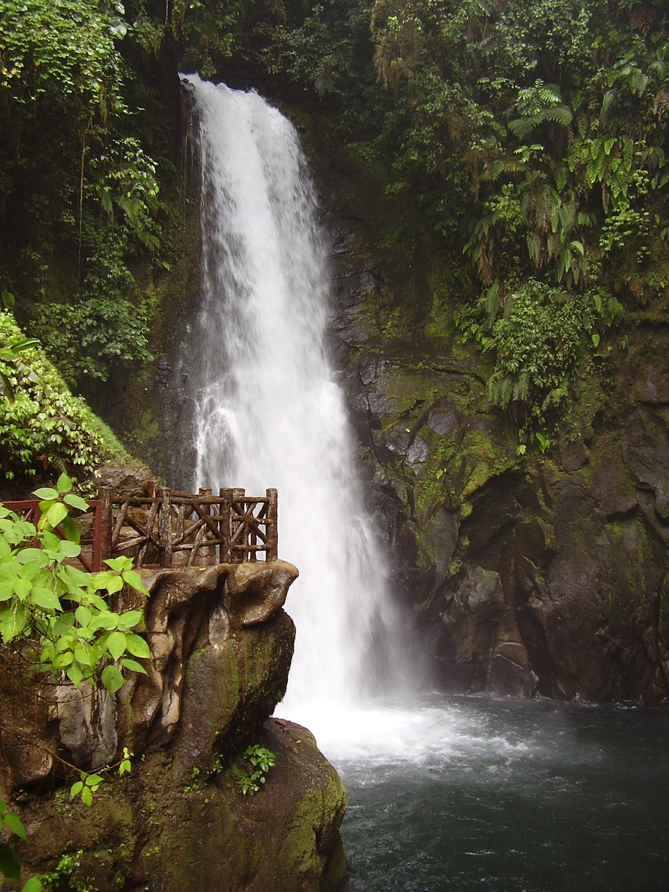 Krioklys, Kosta Rika, Atogrąžų Miškai, Nacionalinis Parkas, Džiunglės, Pietų Amerika, Gamta, Flora, Žalias, Ruda