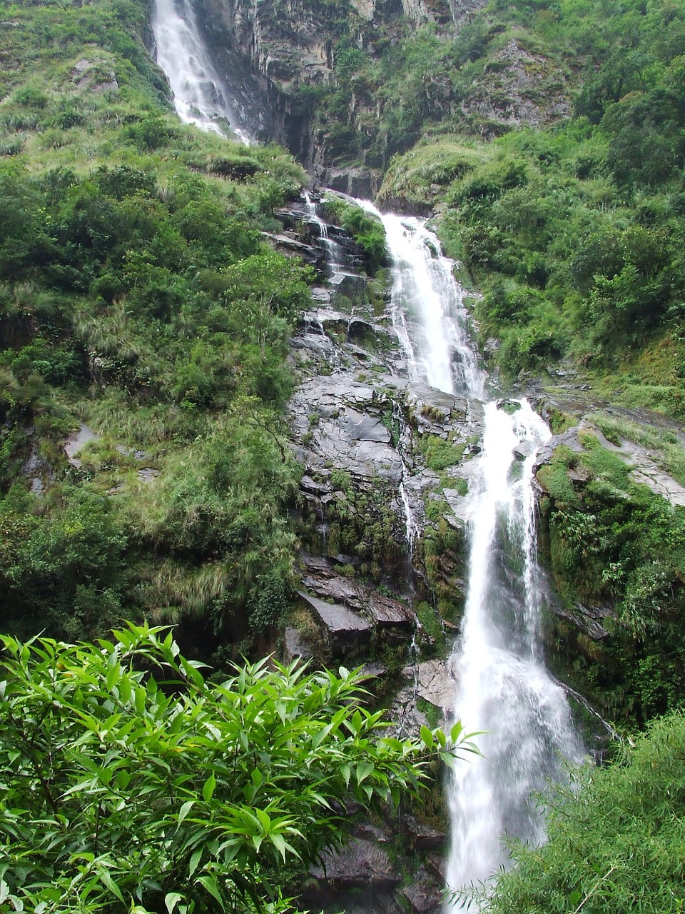 Krioklys, Žalias, Gamta, Nepalas, Annapurna, Pasivaikščiojimas, Nemokamos Nuotraukos,  Nemokama Licenzija