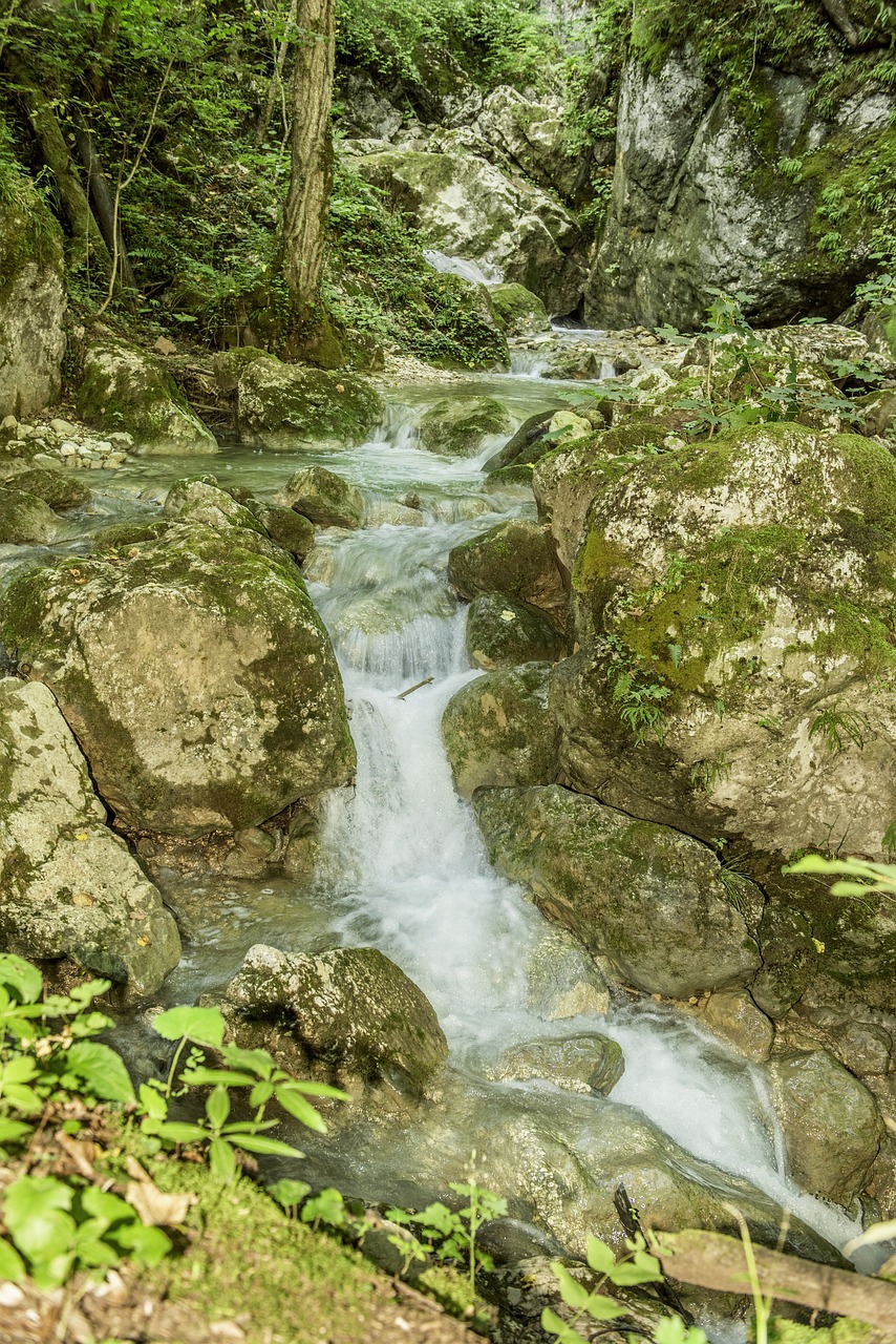 Krioklys Yra Apsauginis Tarpeklis, Austria, Styria, Vanduo, Purkšti, Miškas, Kraštovaizdis, Gamta, Upė, Gražus