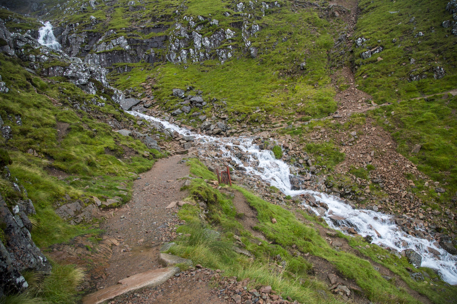 Benas,  Škotija,  Rūkas,  Highland,  Škotų,  Vanduo,  Akmuo,  Patirtis,  Žalias,  Kelionė