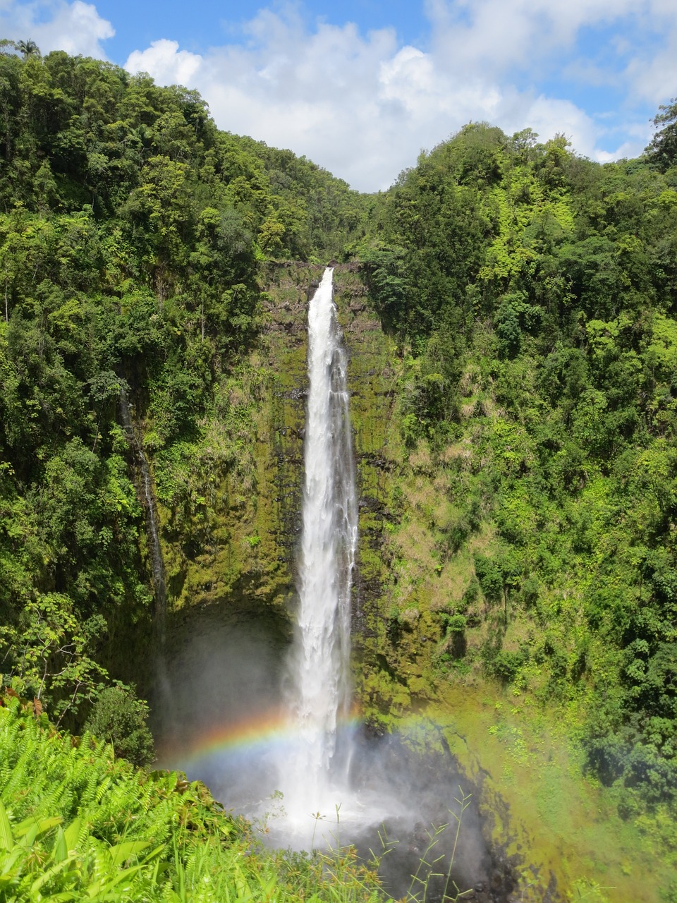 Kriokliai, Hawaii, Akaka Patenka, Parkas, Rojus, Nemokamos Nuotraukos,  Nemokama Licenzija