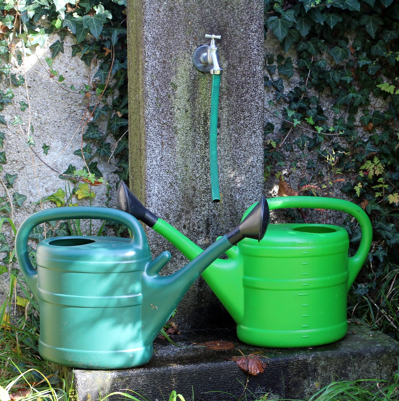 Laistymo Skardinės, Laistymo Anga, Vanduo, Sodas, Drėkinimas, Puodą, Liejimas, Plastmasinis, Sodininkystė, Žalias