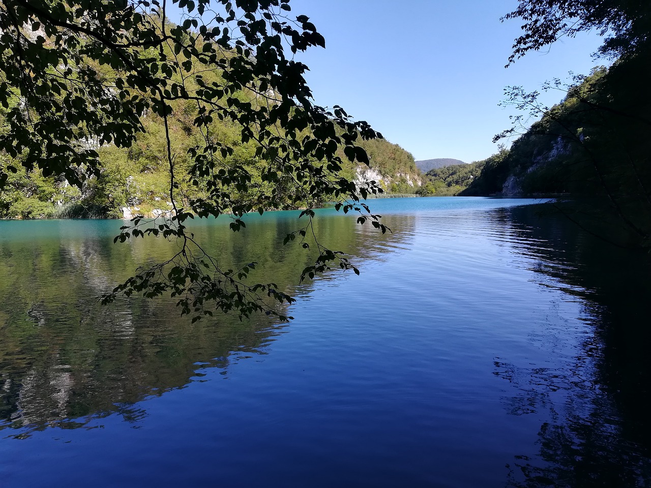 Vandenys,  Gamta,  Medis,  Ežeras,  Be Honoraro Mokesčio, Nemokamos Nuotraukos,  Nemokama Licenzija