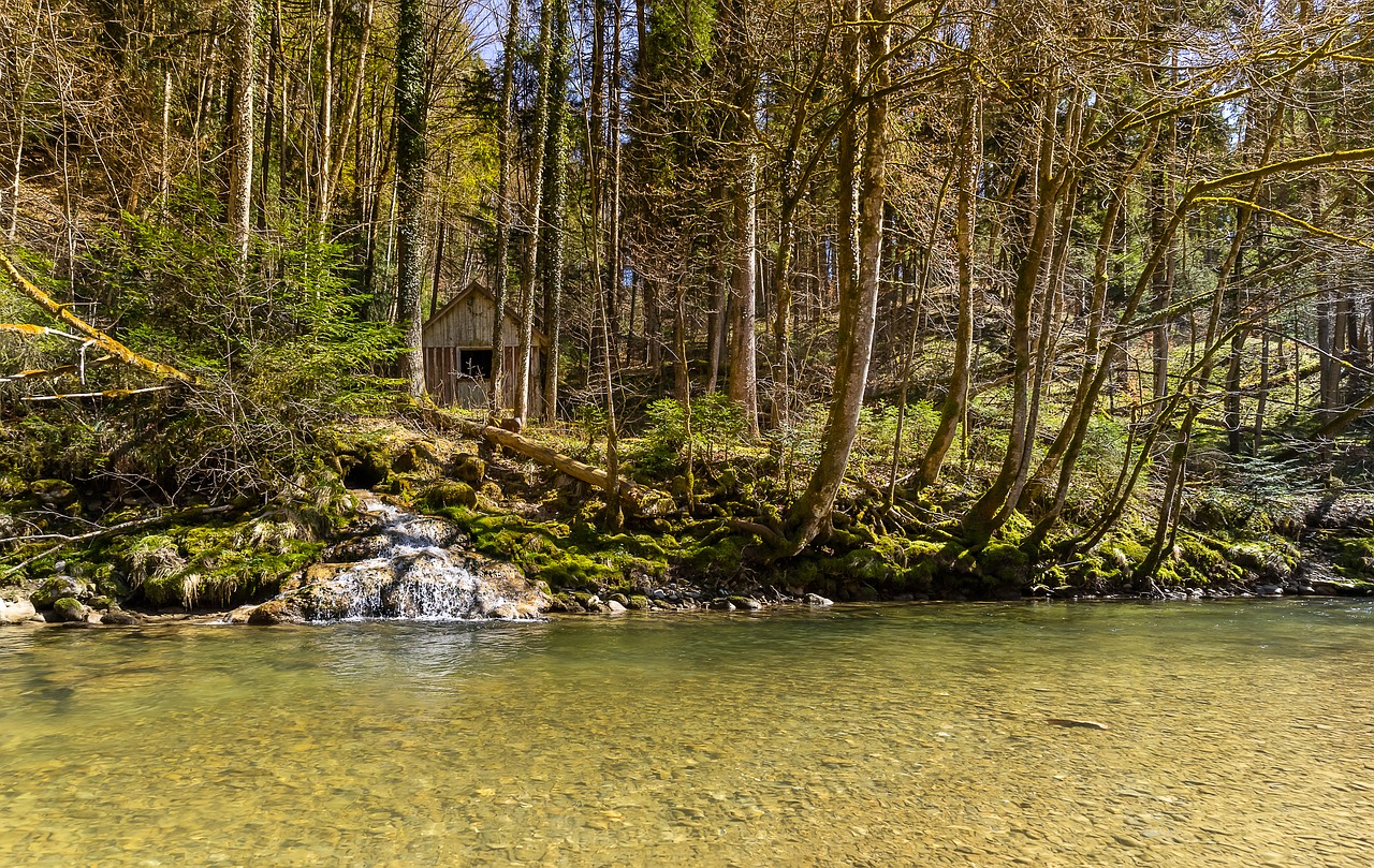 Vandenys,  Pobūdį,  Upė,  Mediena,  Medis,  Hdr,  Miškas,  Dykuma,  Krioklys,  Žvyruotas