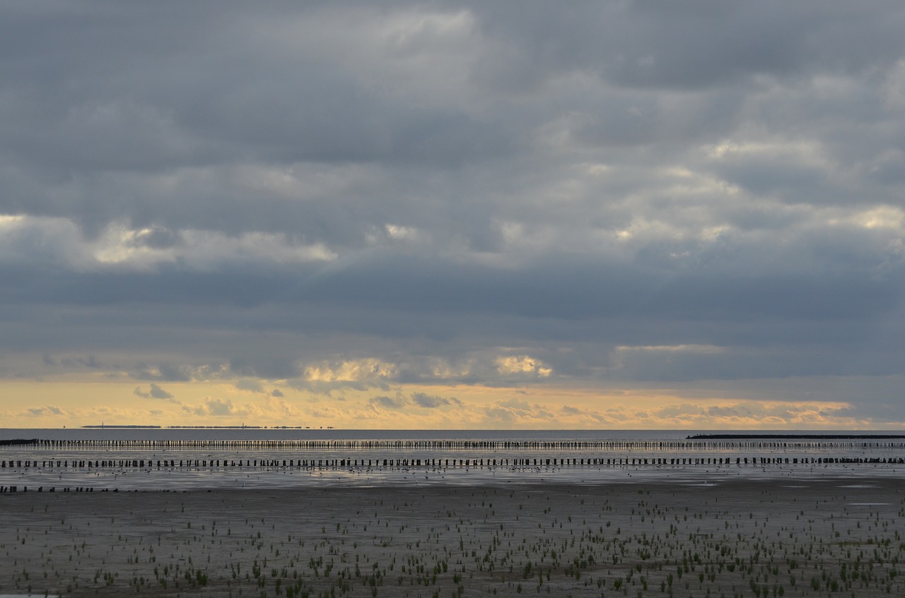 Vatai, Wadden Jūra, Šiaurės Jūra, Fryzija, Nyderlandai, Vakarų Fryzija, Atsipalaiduoti, Jūra, Schlick, Dangus