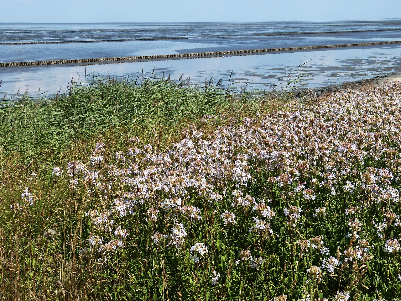 Vatų,  Vatų Jūra,  Šiaurės Jūra,  Pakrantės,  Jūra,  Kraštovaizdis,  Pobūdį,  Atoslūgis,  Nordfriesland,  Nacionalinis Parkas