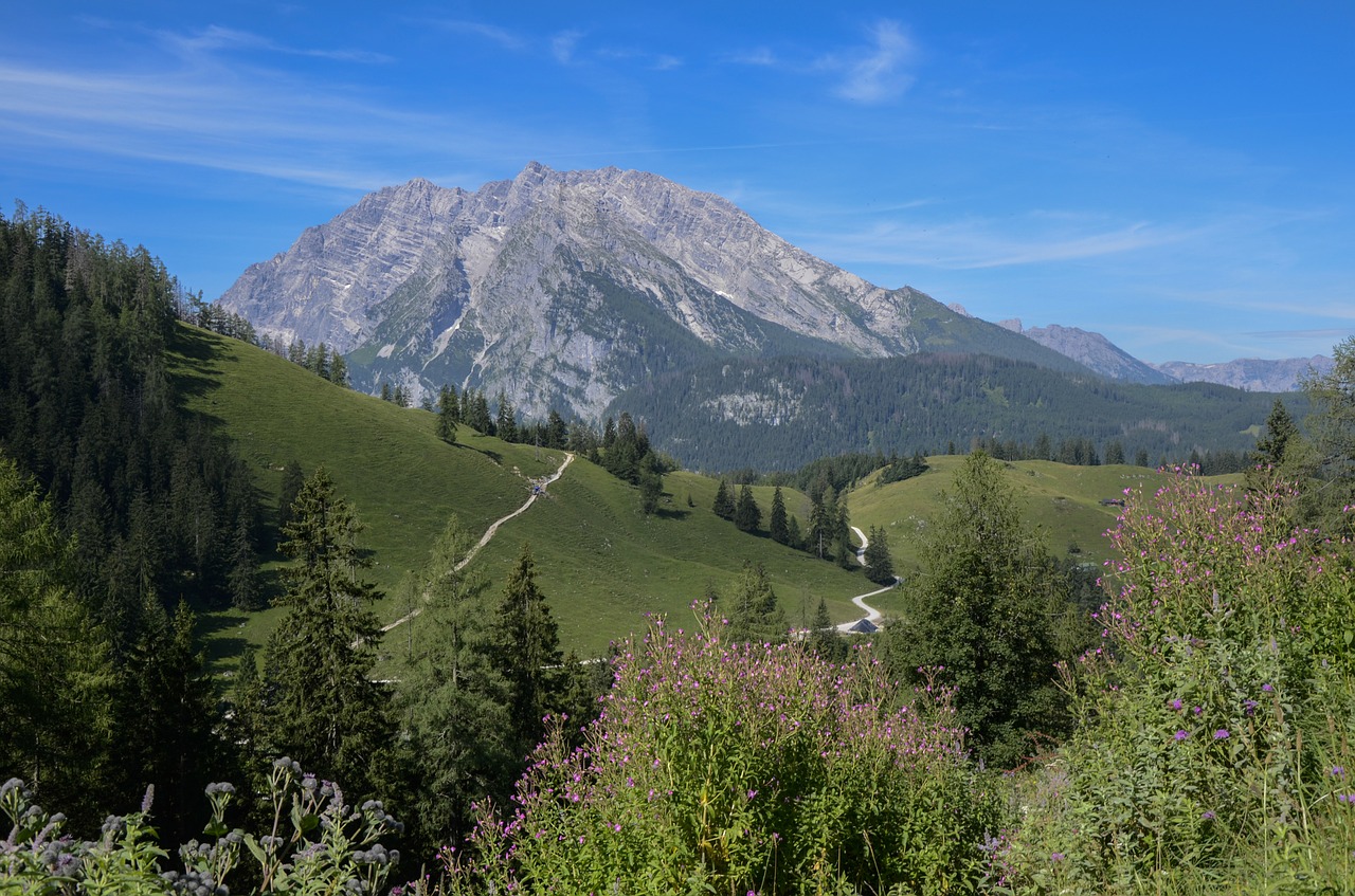 Watzmann, Kalnas, Alpių, Berchtesgadener Žemės, Masyvas, Berchtesgaden Alps, Nemokamos Nuotraukos,  Nemokama Licenzija
