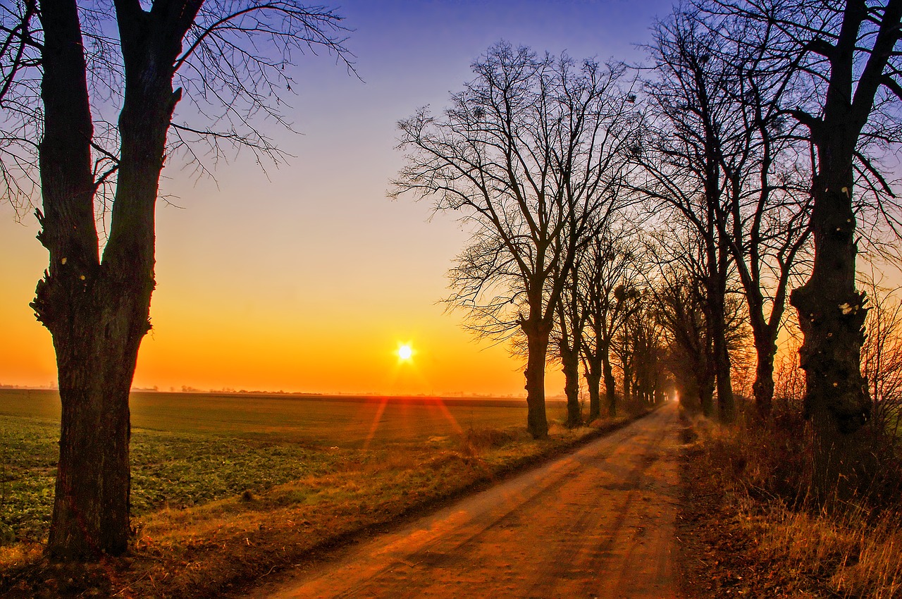 Kelias, Saulėlydis, Spinduliai, Kraštovaizdis, Saulė, Saulės Spinduliai, Vakaruose, Aura, Žolė, Twilight