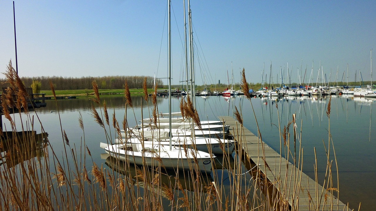 Cospudener See, Leipcigas, Vandens Sportas, Burinė Valtis, Nemokamos Nuotraukos,  Nemokama Licenzija