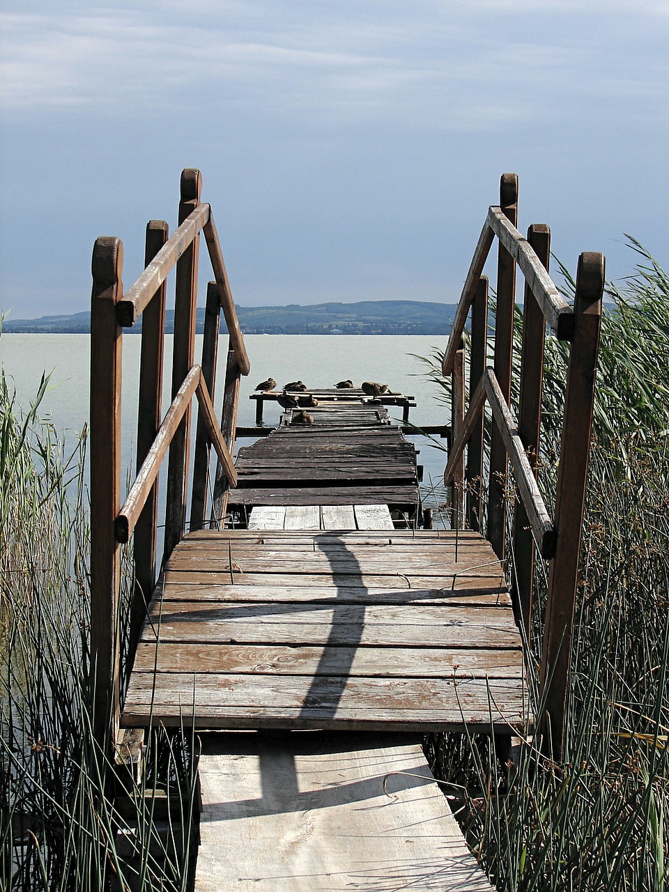 Internetas, Balaton Ežeras, Balaton, Vengrija, Nemokamos Nuotraukos,  Nemokama Licenzija