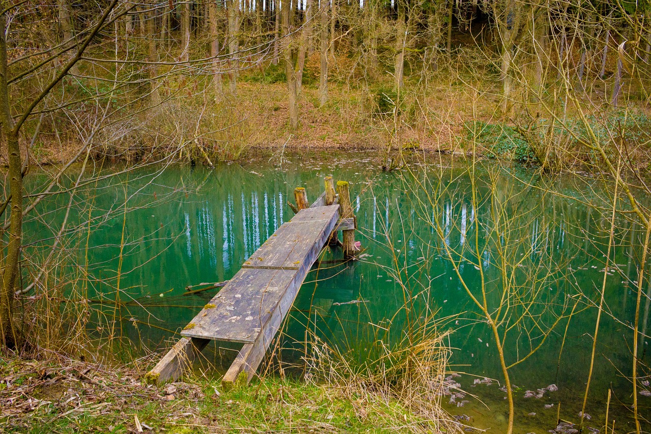 Internetas, Ežeras, Tvenkinys, Vandenys, Poilsis, Vienišas, Miškas, Nemokamos Nuotraukos,  Nemokama Licenzija