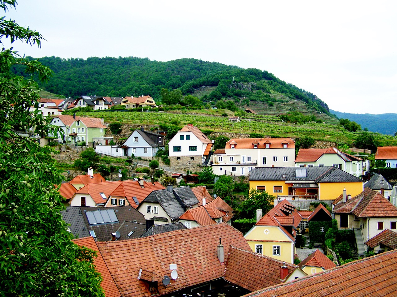 Weissen Kirchen, Žemutinė Austrija, Kraštovaizdis, Nemokamos Nuotraukos,  Nemokama Licenzija