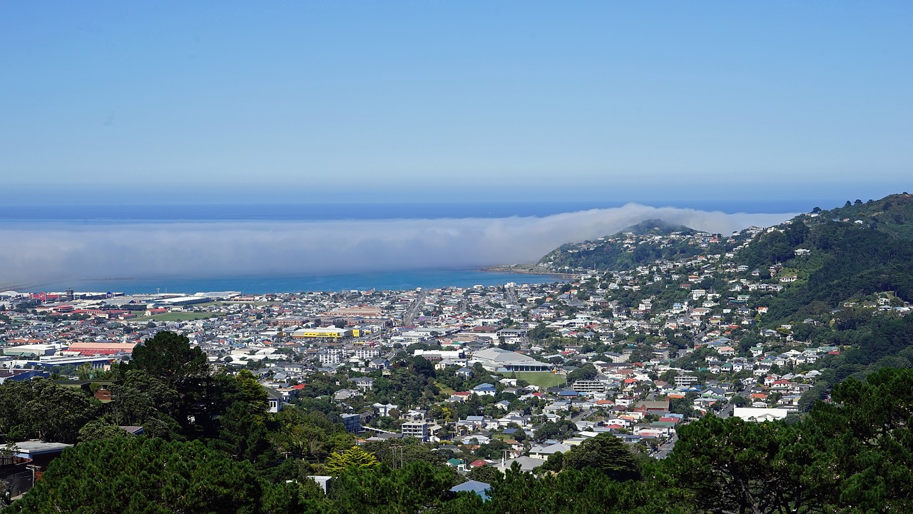 Wellington, Kalnas Viktorija, Naujoji Zelandija, Šiaurinė Sala, Liūto Rūko, Nemokamos Nuotraukos,  Nemokama Licenzija